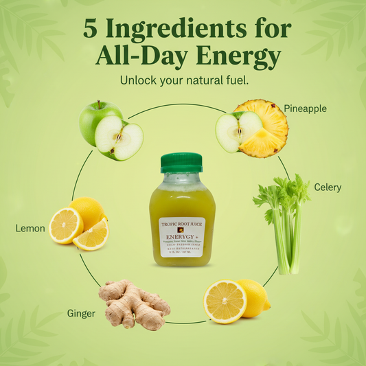 Energy+ 5 Ingredients Breakdown